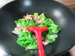 酱肉虾仁炒毛毛菜步骤7