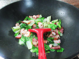 酱肉虾仁炒毛毛菜步骤10
