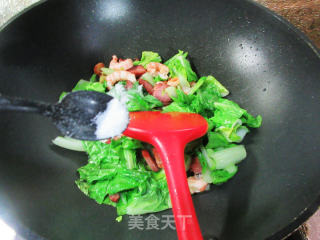 酱肉虾仁炒毛毛菜步骤9