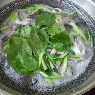 平菇油菜拌熟肉步骤7