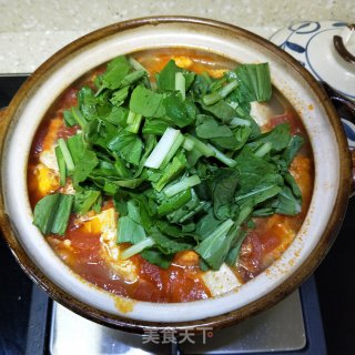 番茄鸡蛋炖豆腐 步骤9