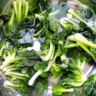 塔菜肉片麻汁火锅步骤4