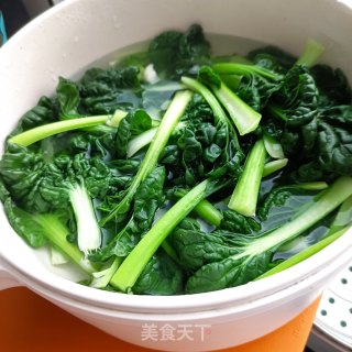 塔菜肉片麻汁火锅步骤7