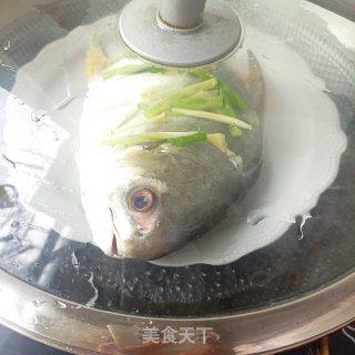 葱油金鲳鱼步骤5