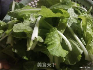 素炒小白菜苗步骤1