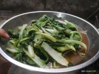 素炒小白菜苗步骤6
