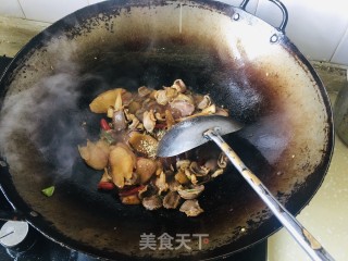 泡椒仔姜炒鸡胗步骤11