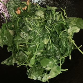 黄豆酱炒番薯叶步骤5