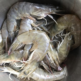 干锅土豆虾步骤1