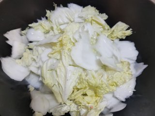 红虾烧白菜步骤5