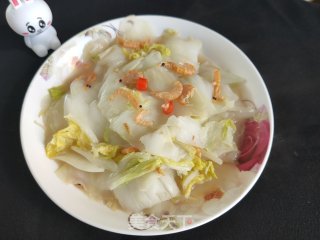 红虾烧白菜步骤9