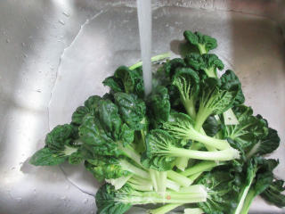 鱼豆腐炒塔苦菜步骤3