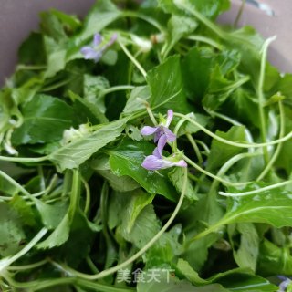 鸡蛋炒紫花地丁步骤3
