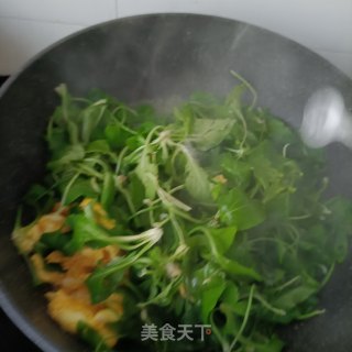 鸡蛋炒紫花地丁步骤10
