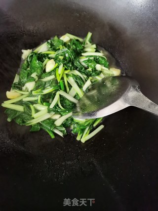 蒜炒匙羹白（小白菜）步骤6