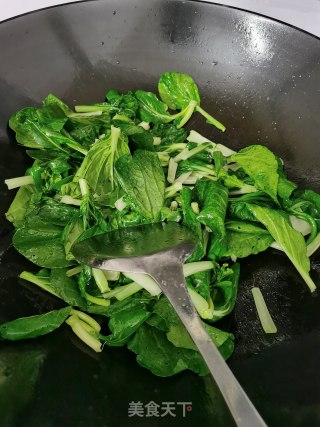 蒜炒匙羹白（小白菜）步骤5