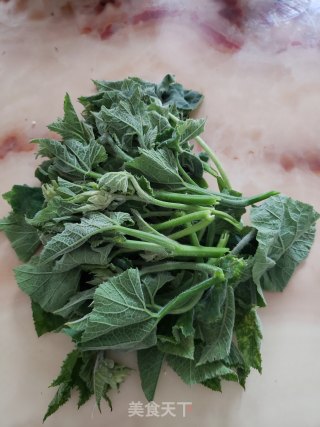 蒜蓉南瓜芽尖步骤1