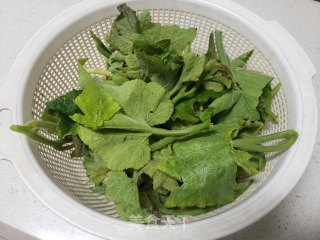 蒜蓉南瓜芽尖步骤2