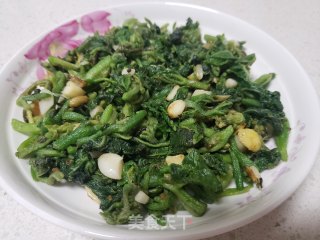 蒜蓉南瓜芽尖步骤6