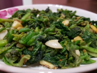蒜蓉南瓜芽尖步骤7