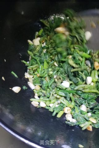 蒜蓉南瓜芽尖步骤5