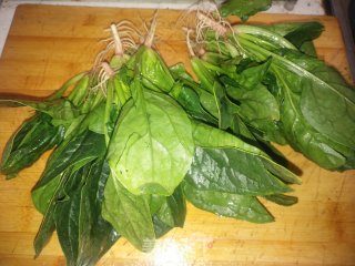 菠菜鸡蛋盖被步骤1