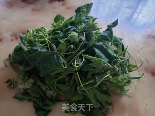 南瓜芽尖炒鸡蛋步骤4