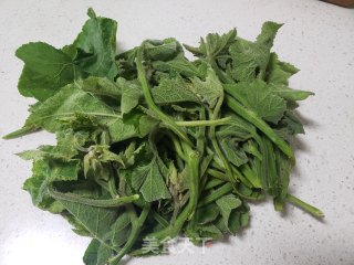 南瓜芽尖炒鸡蛋步骤5