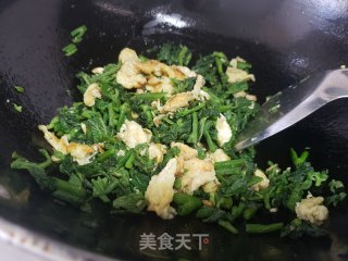 南瓜芽尖炒鸡蛋步骤7