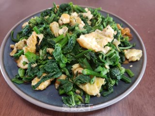 南瓜芽尖炒鸡蛋步骤8