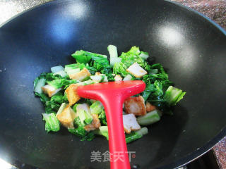 鱼豆腐炒毛毛菜步骤4