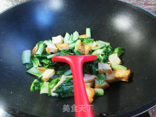 鱼豆腐炒毛毛菜步骤7