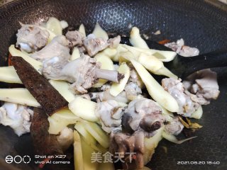 嫩姜红烧鸭肉步骤5