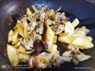 嫩姜红烧鸭肉步骤7
