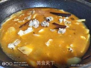 嫩姜红烧鸭肉步骤8