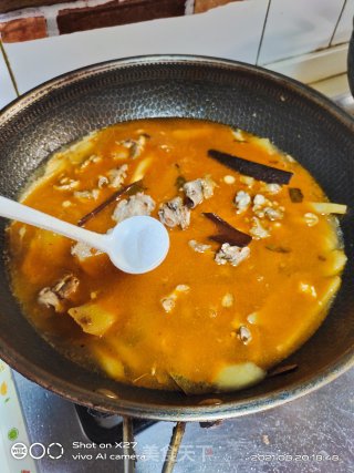 嫩姜红烧鸭肉步骤9