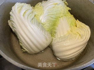 一颗白菜步骤1