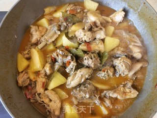 柴鸡炖土豆步骤15
