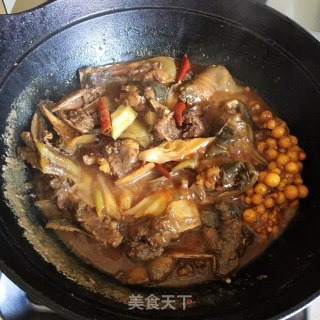 红烧甲鱼步骤5