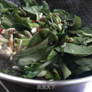 青菜炒小蘑菇步骤8
