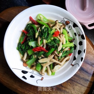 青菜炒小蘑菇步骤11