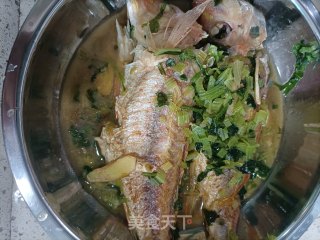 香芹焖红杉鱼步骤6