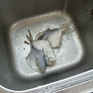 醋焖银鲳鱼步骤1
