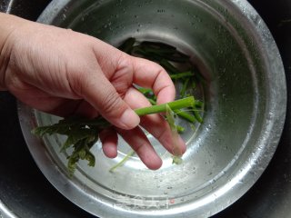 清炒南瓜藤步骤2