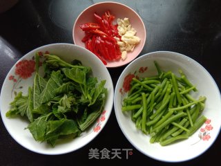 清炒南瓜藤步骤3