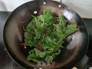 清炒南瓜藤步骤6
