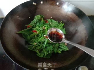 清炒南瓜藤步骤7