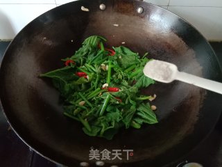 清炒南瓜藤步骤8