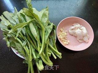 猪油渣炒菜心步骤1