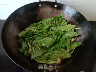 猪油渣炒菜心步骤5